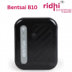 Ridhi Bentsai B10 Mini